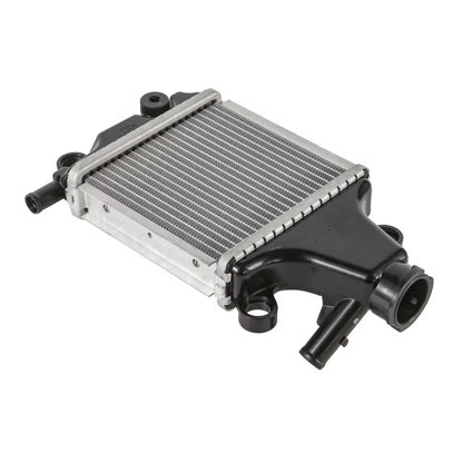 panal-de-enfriamiento-radiador-175cc