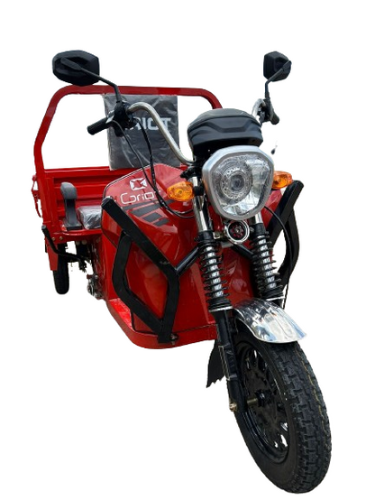 Motocarro de Carga Eléctrico